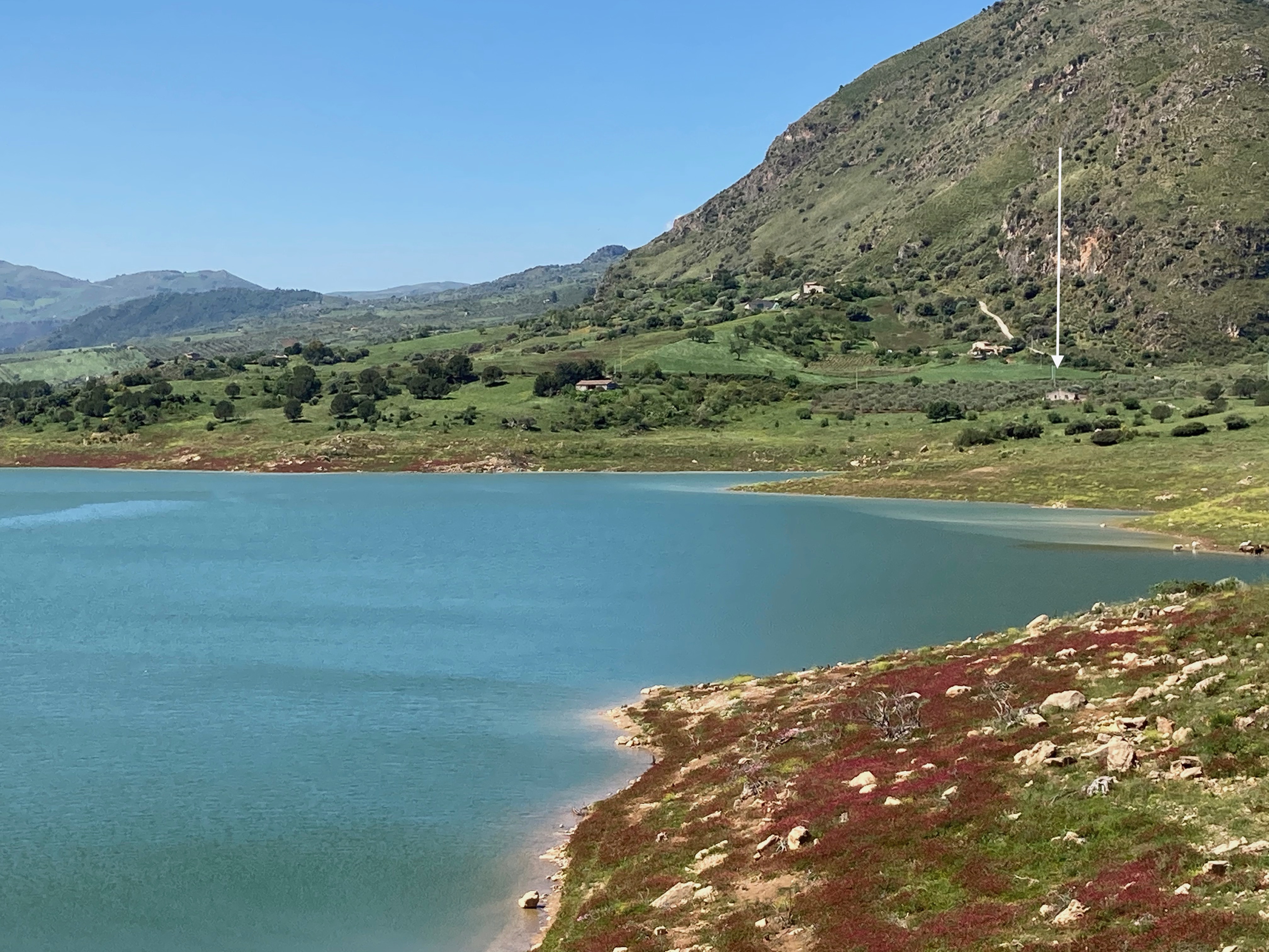 Lake house with large olive grove